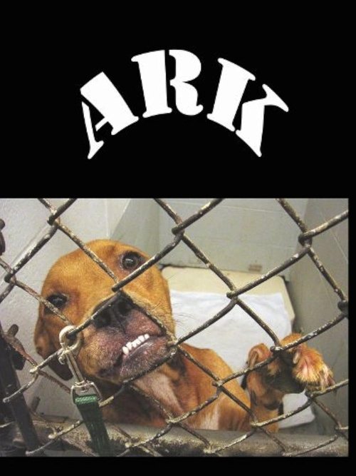 Animal Rescue Katrina poster