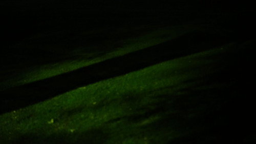 The Shape of the North Star