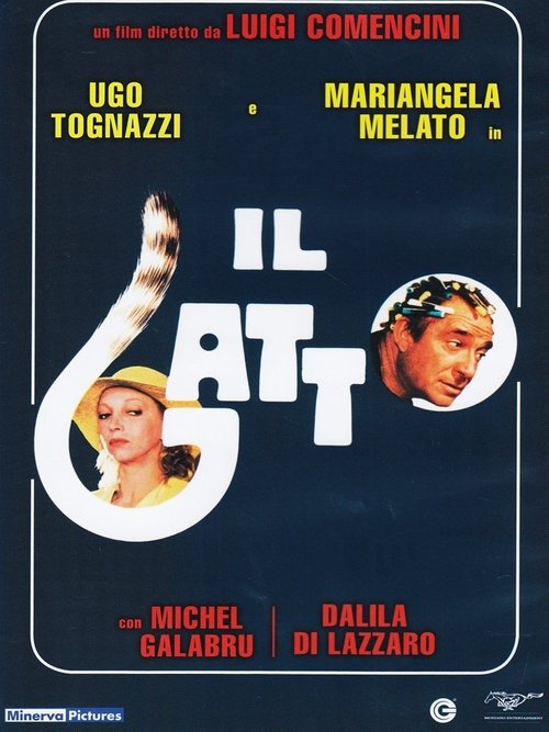 Il gatto poster