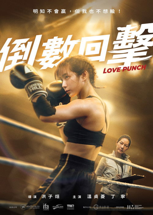 Love Punch poster