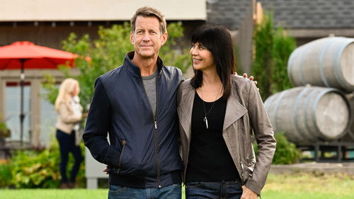 A Bruxa do Bem: 5×3