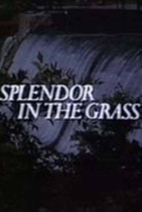 Splendor in the Grass 1981