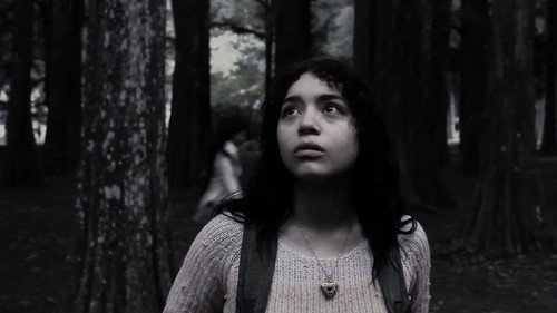 A Floresta Backdrop Blur