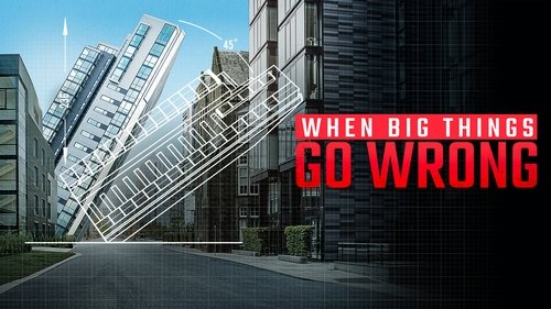 When Big Things Go Wrong
