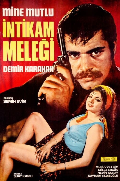 İntikam Meleği (1970)