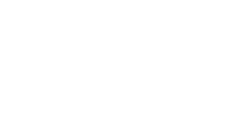 Flicka 2