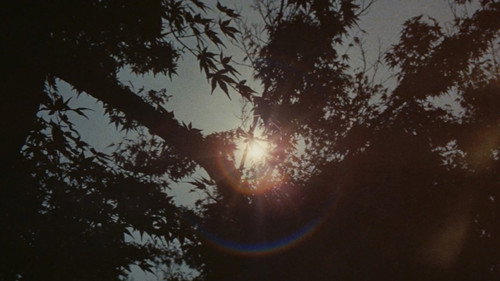 Legend of the Mountain