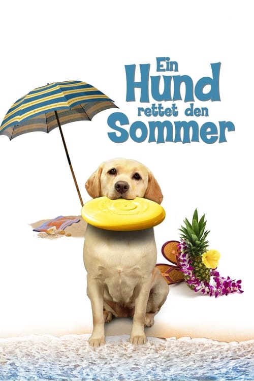 The Dog Who Saved Summer poster