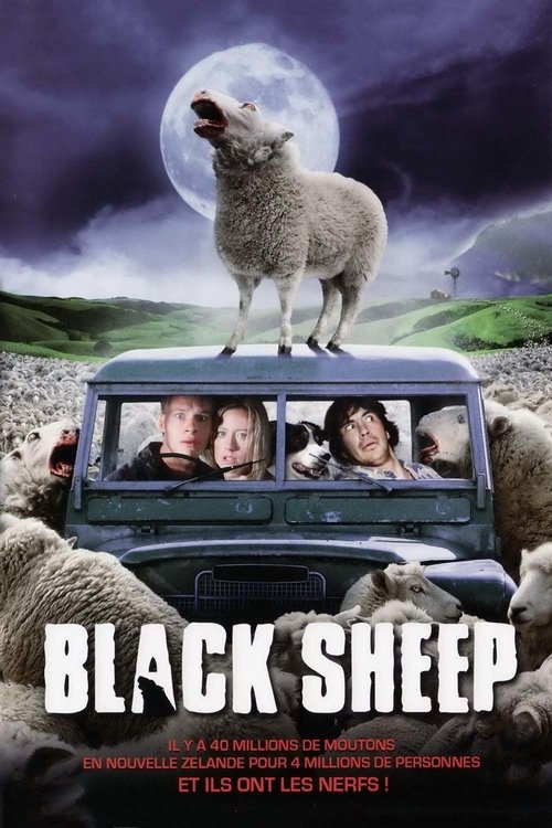 Image Black Sheep