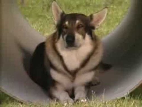 Image de l'épisode 1
