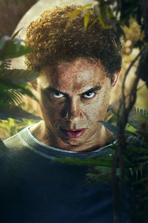 The Park Maniac poster