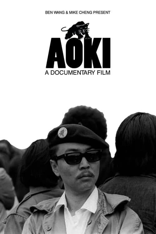 Aoki (2009)