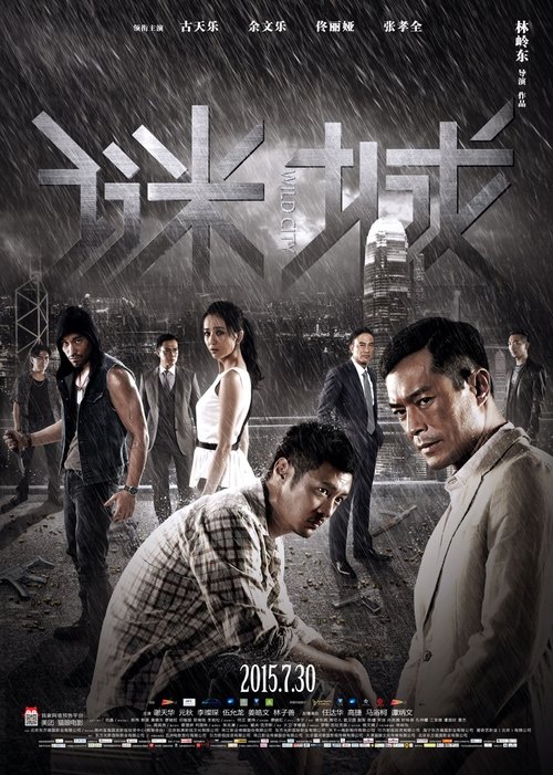 迷城 movie poster player