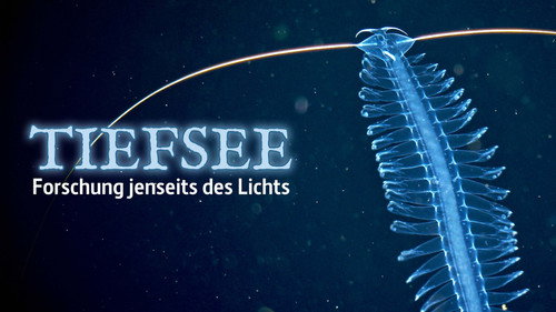 Tiefsee - Forschung jenseits des Lichts Bild 2