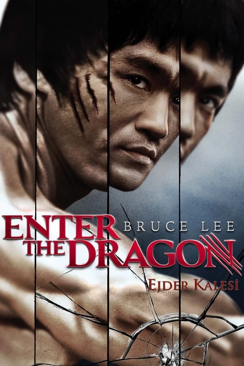 Ejder Kalesi ( Enter the Dragon )