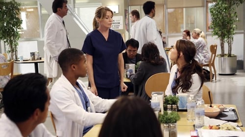 Grey's Anatomy - Season 9 - Episode 1: Going Going Gone