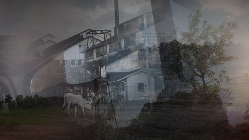 Fordlândia Panacea poster