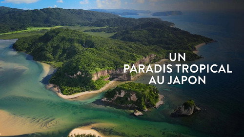 L'île Iriomote - Un paradis tropical au Japon Backdrop Blur