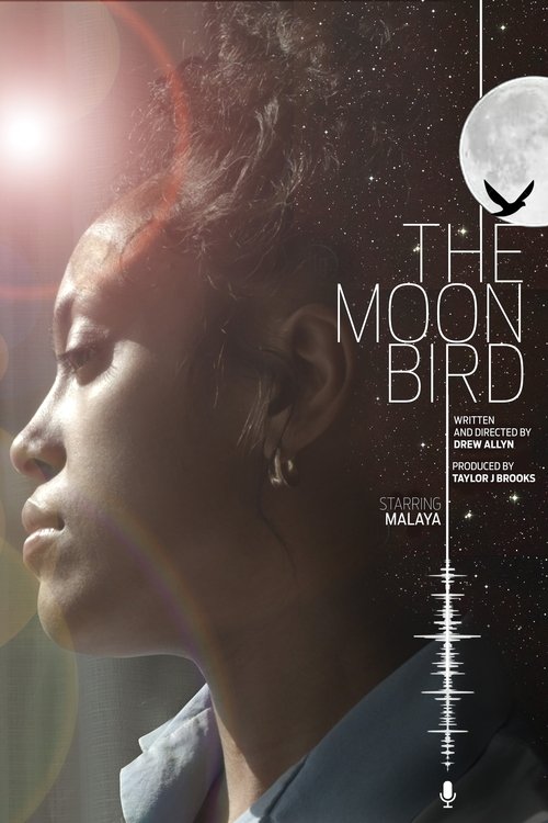 The Moon Bird poster