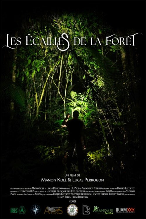 Les Écailles de la forêt poster