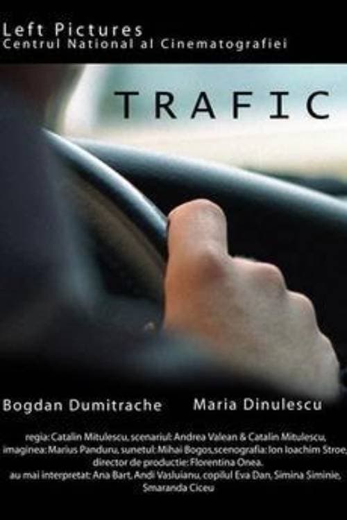 Trafic 2004