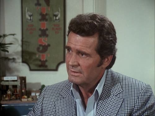 Poster della serie The Rockford Files