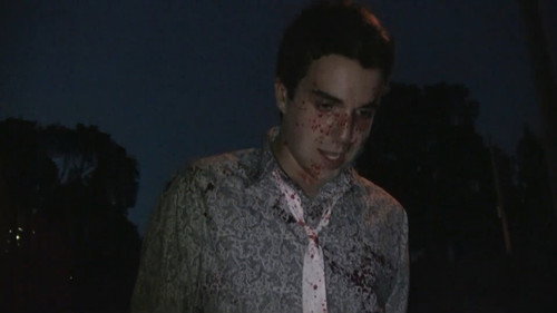 The Man Who Loved Flowers