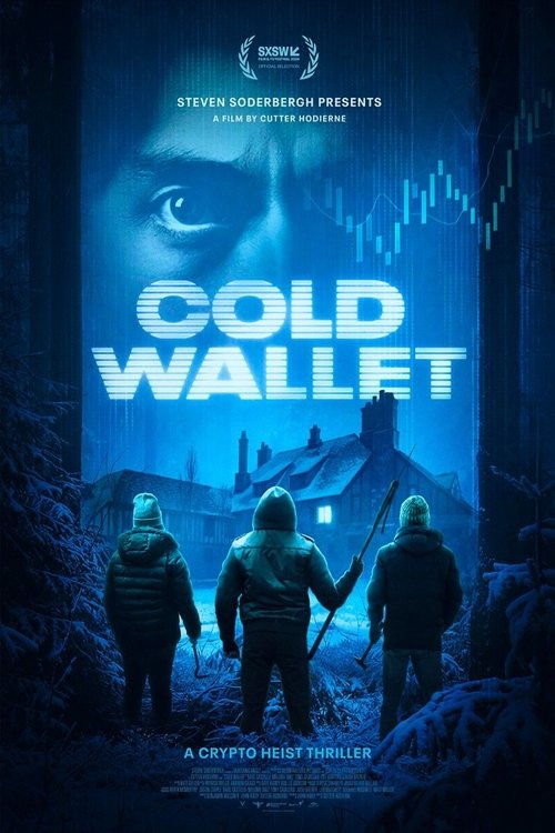 Cold Wallet poster