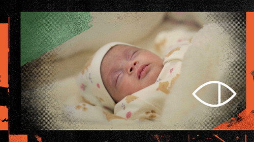 19/01/2026: Jerusalem, Bethlehem and the Impact of War