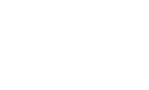 The Chinese Boxer