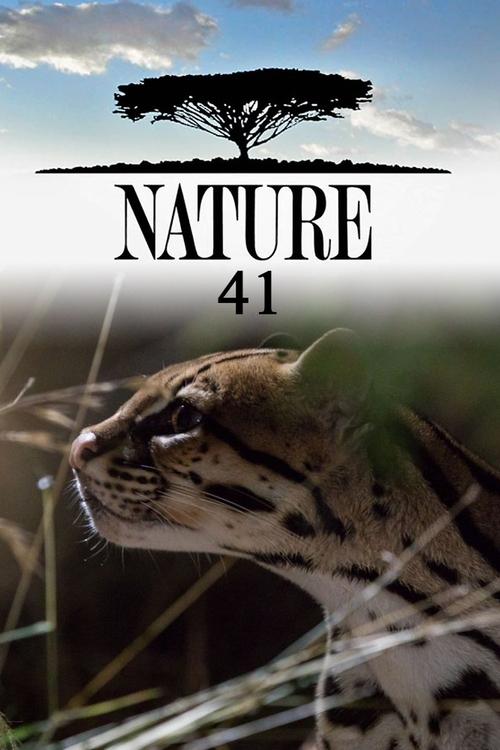 Nature, S41 - (2022)