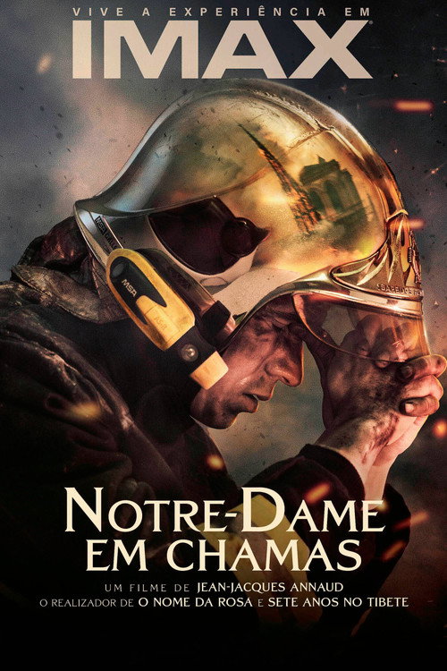 Notre-Dame on Fire poster