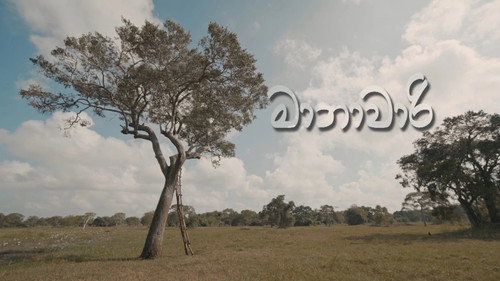 Manawari