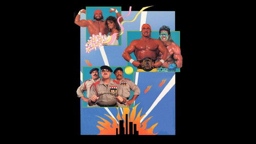 WWE SummerSlam 1991 cover