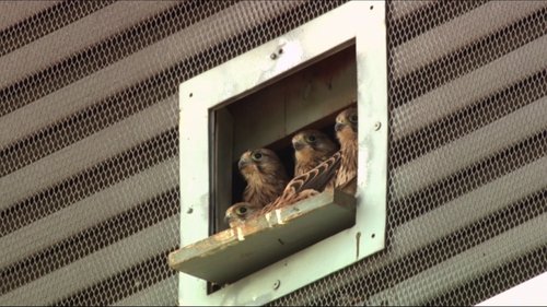 Image de l'épisode 2