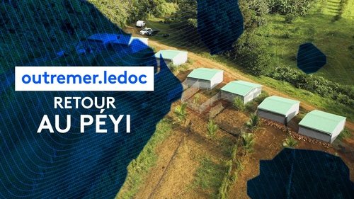 Retour au péyi
