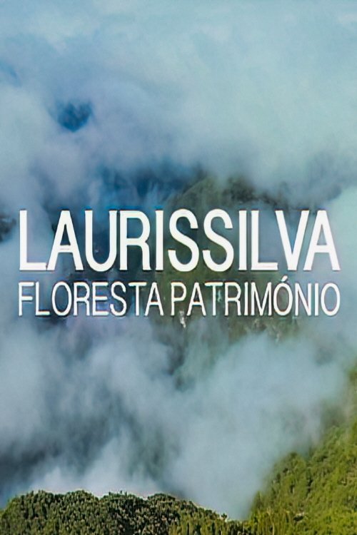 Laurissilva - Floresta Património