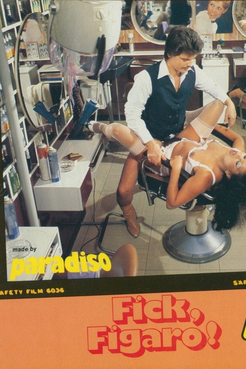 Fick, Figaro! poster