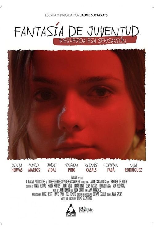 Fantasy of Youth poster
