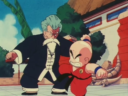 Dragon Ball: 1×24