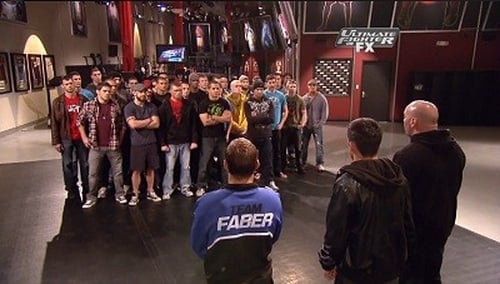 Poster della serie The Ultimate Fighter