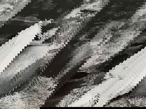 Image de l'épisode 12