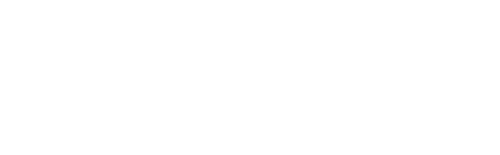 The True Don Quixote