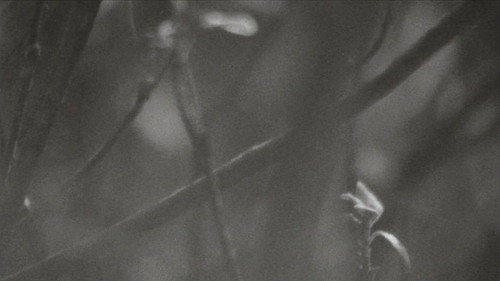 Surface Memory Oblivion