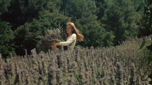 The Demise of Father Mouret