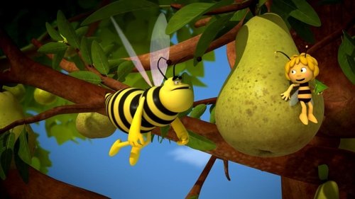 Image de l'épisode 13
