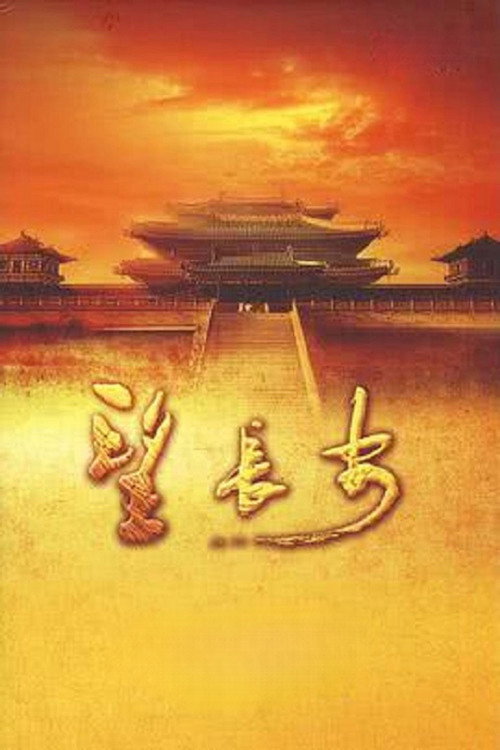 望长安 poster