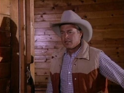 Dallas, S11E14 - (1987)