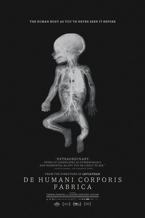 De Humani Corporis Fabrica poster
