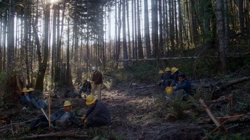 Image du film